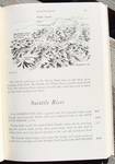 good book