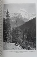 good book