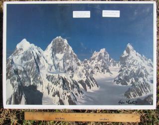 SIGNED POSTER